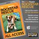 KCSN RockstarRescue PotW 112525 CreateOutlines IG SQUARE 1080x1080
