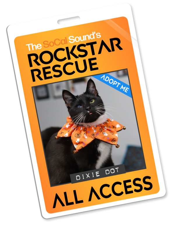 KCSN RockstarRescue PotW 102126 Pass