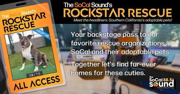 KCSN RockstarRescue PotW 080526 CreateOutlines FACEBOOK 1200x631