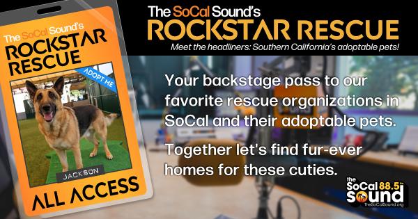 KCSN RockstarRescue PotW 081926 CreateOutlines FACEBOOK 1900x631