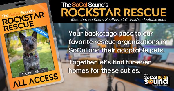 KCSN RockstarRescue PotW 090926 CreateOutlines FACEBOOK 1200x631