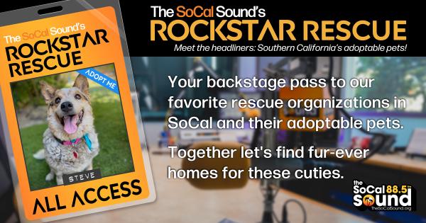 KCSN RockstarRescue PotW 093026 CreateOutlines FACEBOOK 1200x630