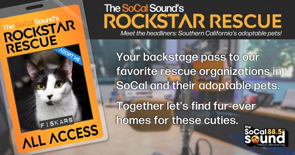 KCSN RockstarRescue PotW 100125 FACEBOOK 1200x631