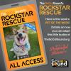 A girl named STEVE's rough times are over & she's ready for love - our PET OF THE WEEK!