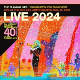 Flaming Lips, 